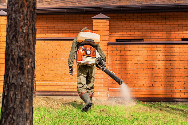 Trusted Bed Bug Control service in Treasure Lake, PA - Nex Pest Control